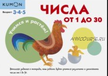 Учимся и растём! Числа от 1 до 30. Возраст 3-4-5 лет [Kumon]