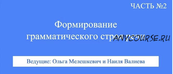 [ABARussia] Формирование грамматического строя речи. Часть 2 (Ольга Мелешкевич, Наиля Валиева)