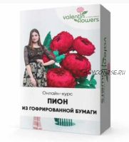 [Valentinflowers] Пион из гофрированной бумаги (Валентина Молокова)