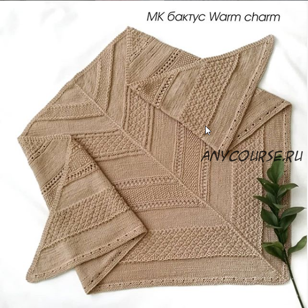 Бактус 'Warm charm' (sharm.knit)