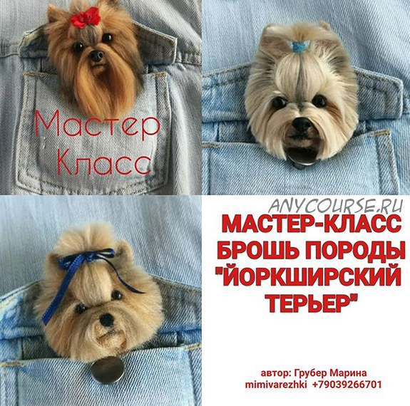 Мастер класс брошь породы йоркширский терьер (Марина Грубер)