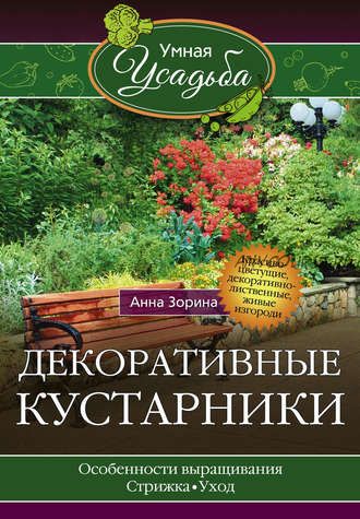 Декоративные кустарники (Анна Зорина)