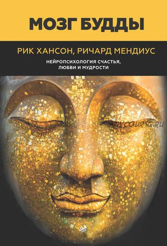 Мозг Будды: нейропсихология счастья, любви и мудрости (Рик Хансон, Ричард Мендиус)