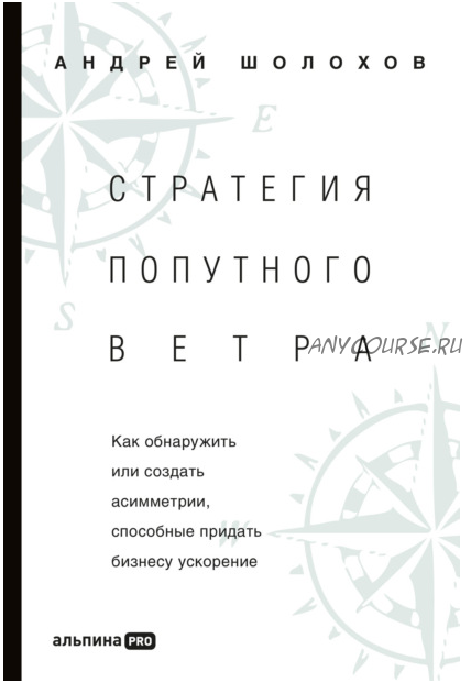 Стратегия попутного ветра. Как обнаружить или создать асимметрии, способные придать бизнесу ускорение (Андрей Шолохов)