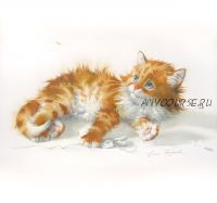 [lectoroom] Котенок в акварельной живописи (Елена Базанова)