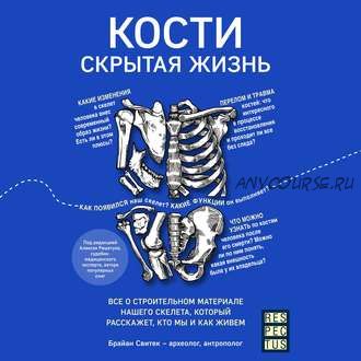 [Аудиокнига] Кости: скрытая жизнь. Все о строительном материале нашего скелета, который расскажет, кто мы и как живем (Брайан Свитек)