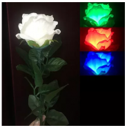 Трехцветная роза - Three-Color Light Rose