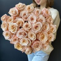 Персиково-розовые розы Шиммер