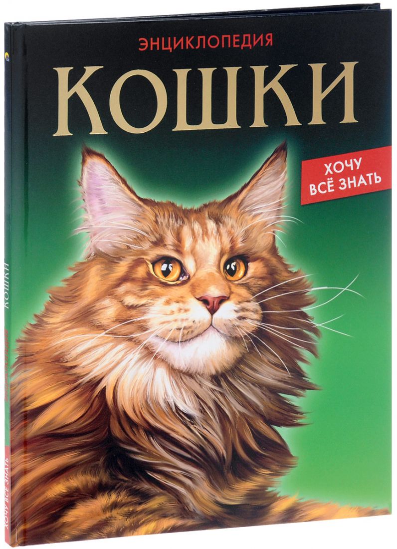 Домашняя кошка книга. Энциклопедия. Кошки. Книги про кошек. Энциклопедия кошек книга. Кошка с книжкой.