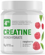 Креатин моногидрат Creatine Monohydrate 300 г 4Me Nutrition Малина