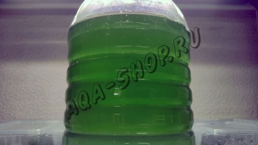 Живые корма