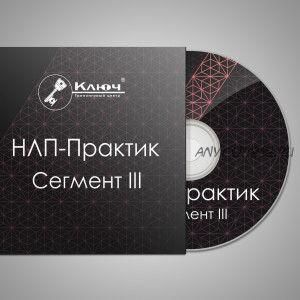 НЛП-Практик. Сегмент III — Модели сбора информации (Максим Шумаков)