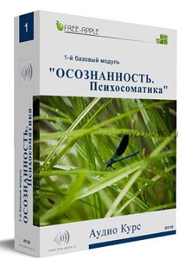 Осознанность. Психосоматика. 1-й базовый модуль (Екатерина Шморгун)