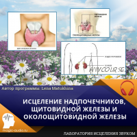 Исцеление надпочечников, щитовидной железы и околощитовидной железы (Lena Matukhina)