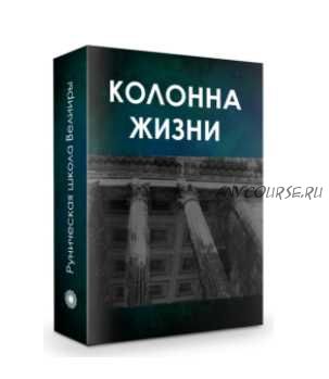 Колонна жизни. Часть 1. Создание энергетической конфигурации влияния (Бронислав)