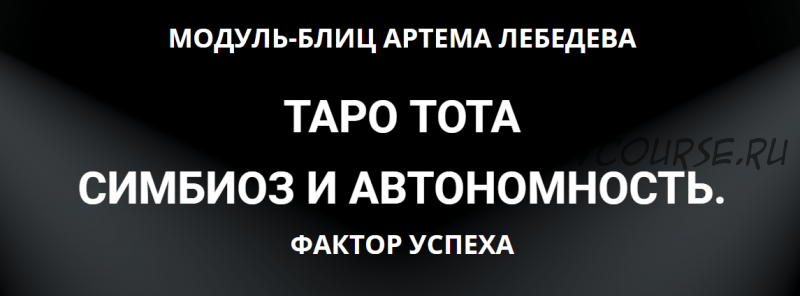 Таро Тота. Симбиоз и автономность. Фактор успеха (Артем Лебедев)