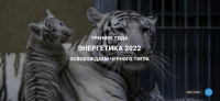[Дао-Сфера] Энергетика 2022 освобождаем черного тигра. Тариф Платина (Дмитрий Лаптев)