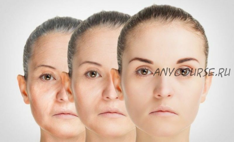 [Sigh Energy] Обратный процесс старения. Reverse Aging Process