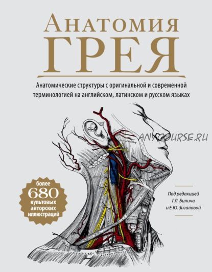 Анатомия Грея. Анатомические структуры с оригинальной и современной терминологией (Габриэль Билич)