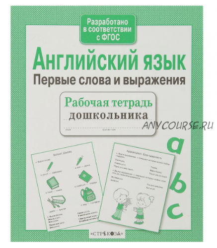 Английский язык. Первые слова и выражения. Рабочая тетрадь дошкольника (Ирина Васильева)