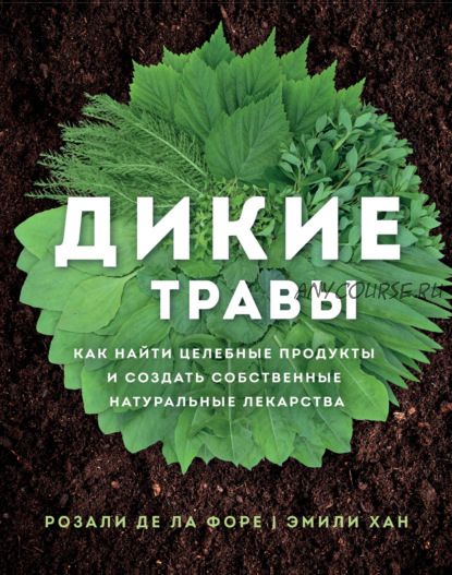 Дикие травы. Как найти целебные продукты (Розали де ла Форе, Хан Эмили)