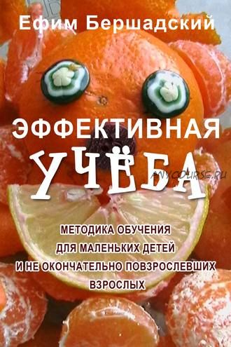 Эффективная учёба. Методика обучения (Ефим Бершадский)