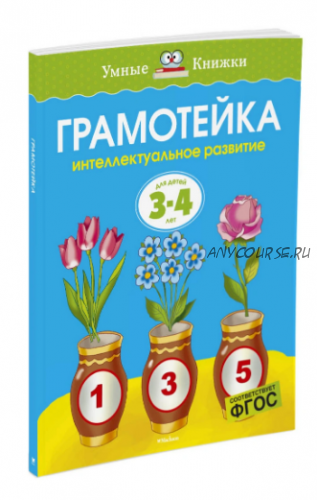 Грамотейка. Интеллектуальное развитие детей 3-4 лет (Ольга Земцова)