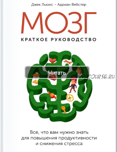 Мозг: краткое руководство ( Джек Льюис, Адриан Вебстер)