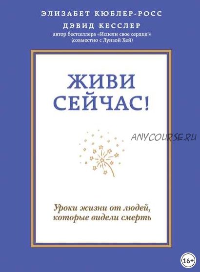 Живи сейчас! Уроки жизни от людей, которые видели смерть (Элизабет Кюблер-Росс, Дэвид Кесслер)