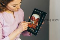 Деформационная 3D анатомия лица (Екатерина Воронова)