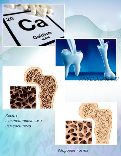 Кальций - источник прочности (Ольга Кондратьева)