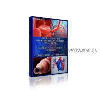 Кровеносная и кроветворная система. Болезни, методики, лечение, инфопродукт №17 (Юрий Фролов)