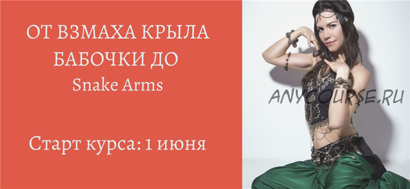 От взмаха крыла бабочки до Snake Arms (Анна Акинцева)