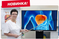 Самопомощь, профилактика и восстановление здоровья печени (Ольга Шишова)