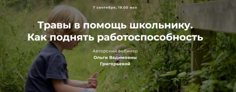 Травы в помощь школьнику. Как поднять работоспособность (Ольга Григорьева)