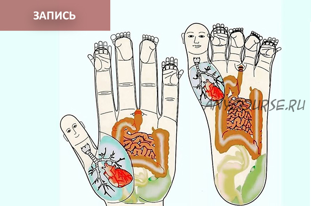 Восточная медицина + программа су-джок на каждый день (Владимир Заворотный)