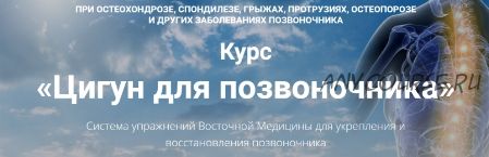 Здоровый позвоночник. Лечебно-восстановительный комплекс, блок PRO (Владимир Осипов)