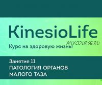 [KinesioLife] Занятие 11. Патология органов малого таза (Дмитрий Маликов)