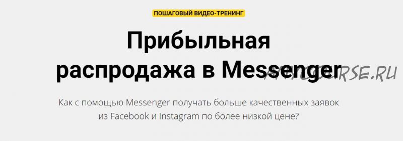 Прибыльная распродажа в Messenger (Зуши Плетнев)