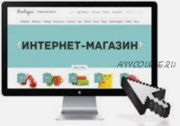 Прибыльный интернет-магазин за 2 дня (Михаил Яремчук)