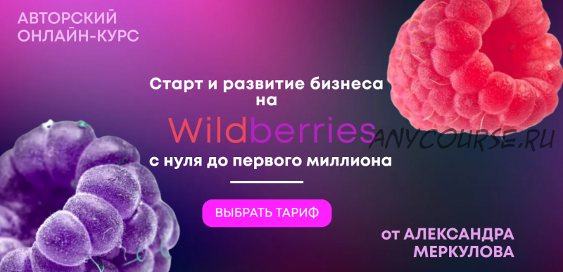 Старт и развитие бизнеса на Wildberries. Тариф Первый миллион (Александр Меркулов)