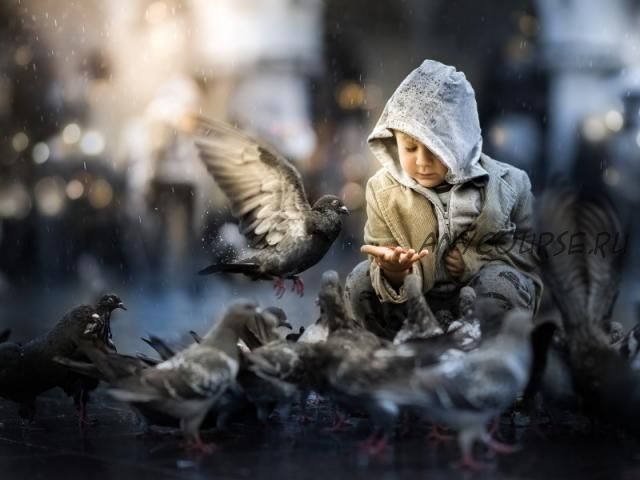 Pigeons, на английском (Iwona Podlasi?ska)