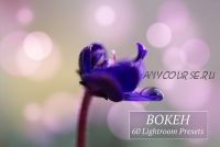 [CreativeMarket] Пресеты Bokeh, Lightroom (Art Planet)