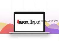 Яндекс.Директ от 3 до 5 тысяч рублей в сутки (Андрей Нырков)