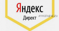 Яндекс-Директ за 20 минут (Софья Петренко)