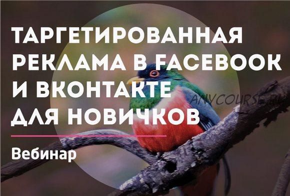 [Convert Monster] Реклама в Facebook и Вконтакте (Антон Петроченков)