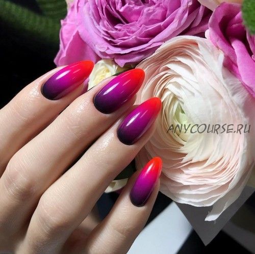 [Non-Stop Nails] Градиент Non-Stop (Дарья Пентюх)