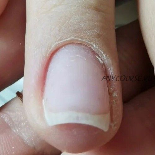 [parisnail] Энциклопедия аппаратного маникюра (Татьяна Свобода)