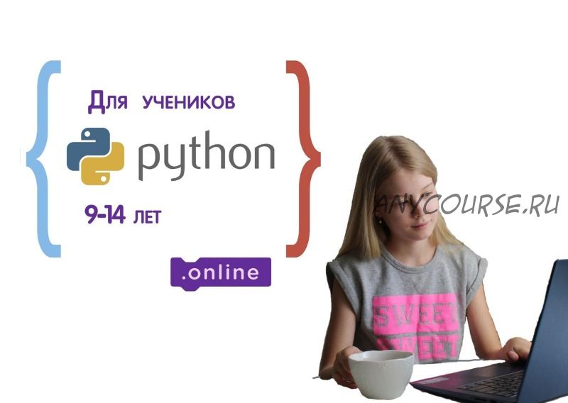 Python для детей 9-14 лет. Пакет «Ученик Pro» (Денис Голиков)