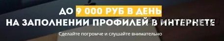 До 9 000 рублей в день на профилях (Виталий Леманн)